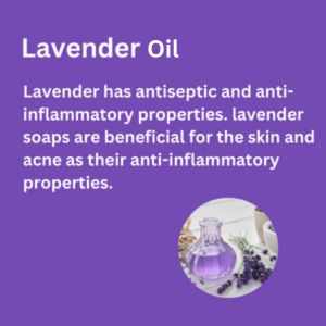 lavender oil lavender oil