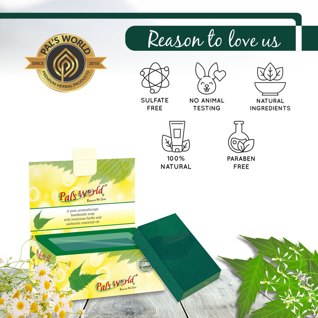 NEEM SOAP3