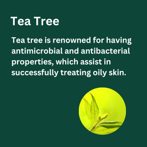 tree-tea1 tree-tea1