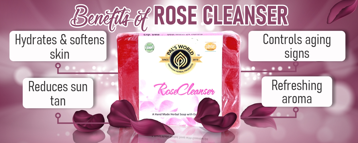 1250 X 500 SOAPS BENEFITS BANNER 10