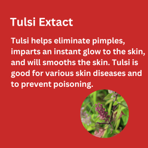 tulsi1 tulsi1